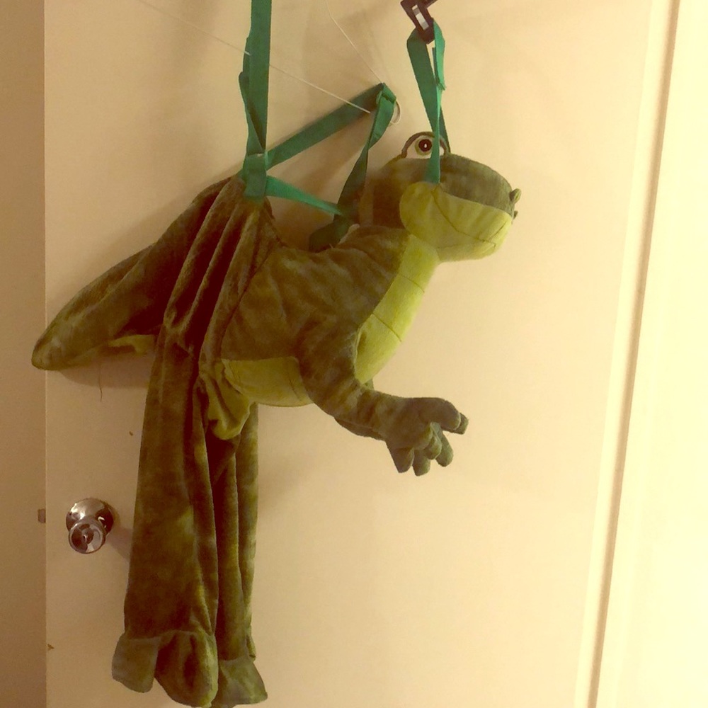 Dinosaur Halloween costume